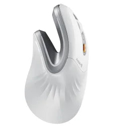 ProtoArc Ergonomic Mouse EM11 NL BT Rechargeable Wireless Vertical Mouse 3 Multi-Device 2.4GHz Optical Mice  for Computer